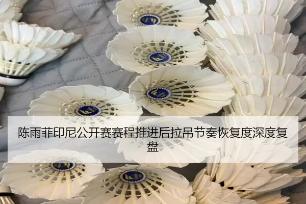 陈雨菲印尼公开赛赛程推进后拉吊节奏恢复度深度复盘